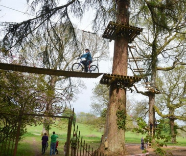 Lough Key Forest Park