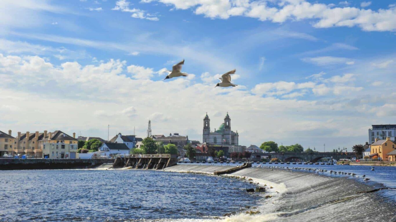 Image of the River Shannon with Athlone town in the distance. Birds flying ahead