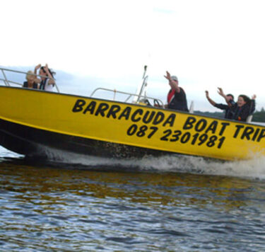 Guests enjoying a thrilling speedboat ride on a vibrant yellow boat with scenic water views at the hotel marina.