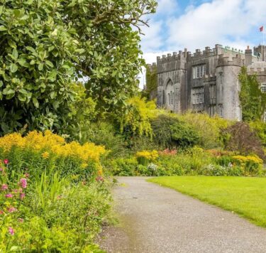 Birr Castle with greenery in front with wildflowers