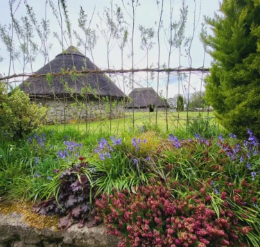 Ring forts in Dún na Sí Amenity Park.