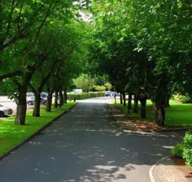 Shamrock Lodge Hotel Driveway_BW