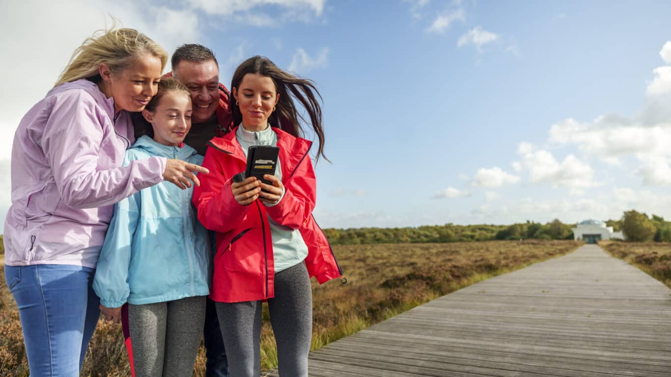 Corlea Trackway, Co Longford_master
