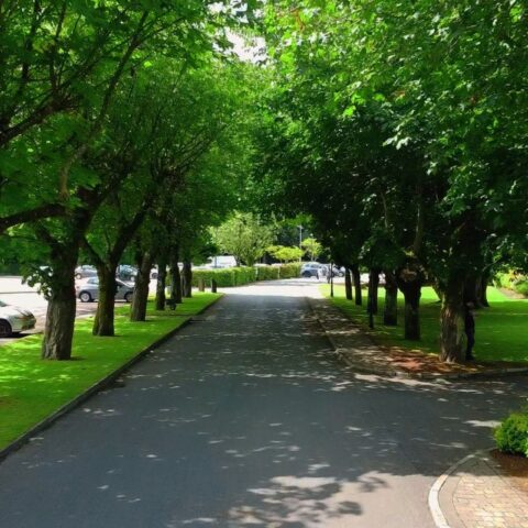 Shamrock Lodge Hotel Private Tree Lined Driveway